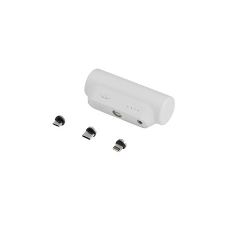POWER BANK GAMMA